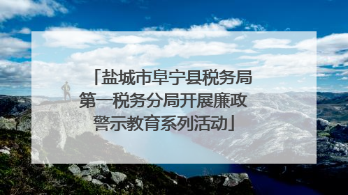 盐城市阜宁县税务局第一税务分局开展廉政警示教育系列活动